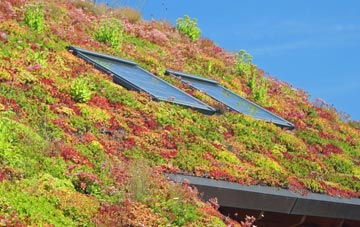 Kinknockie living roof systems
