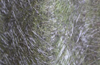 Kinknockie fibreglass roof work